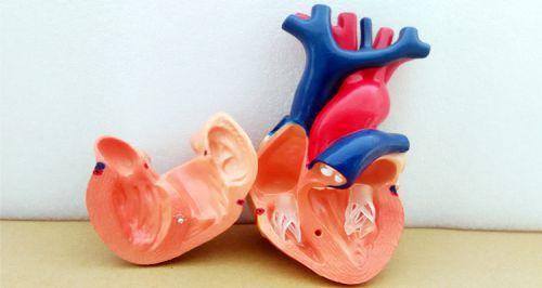 rofessional service wins customer